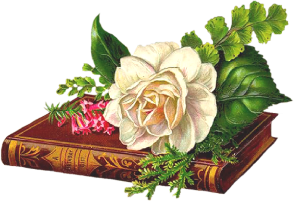 Открытка с юбилеем библиотеки