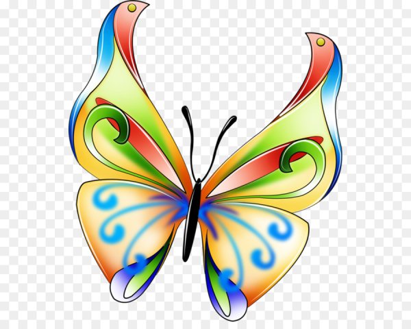 Красивые бабочки для украшения