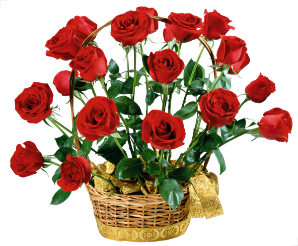 Живые цветы