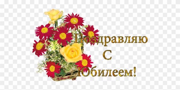 Анимашка поздравляем с юбилеем