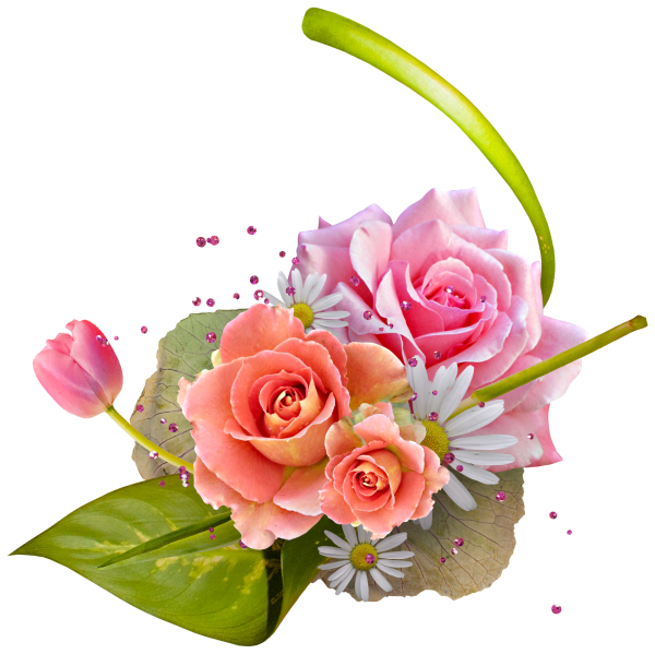 Живые цветы без фона