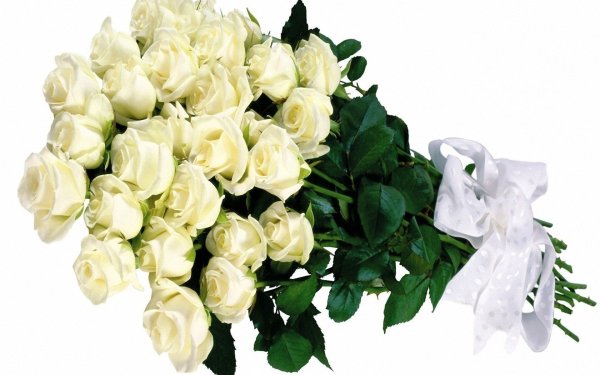 Букет белых роз