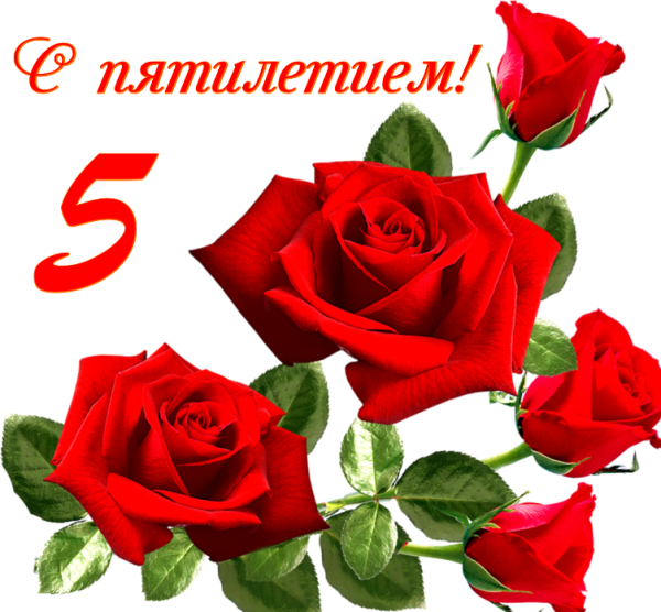 С 5 летним юбилеем