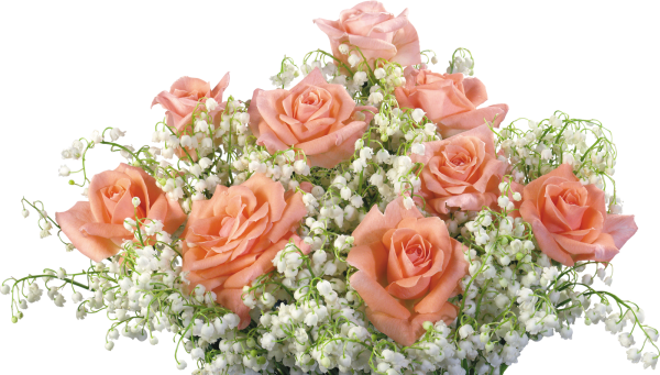 Цветы на прозрачном фоне для фотошопа