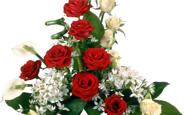 Букет роз на прозрачном фоне