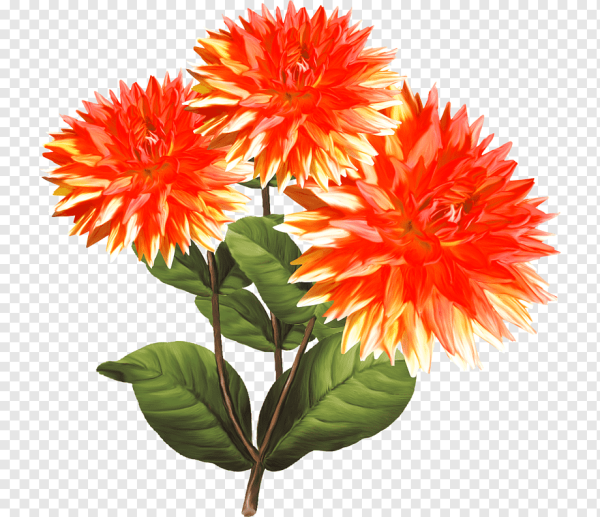 Осенние цветы для детей