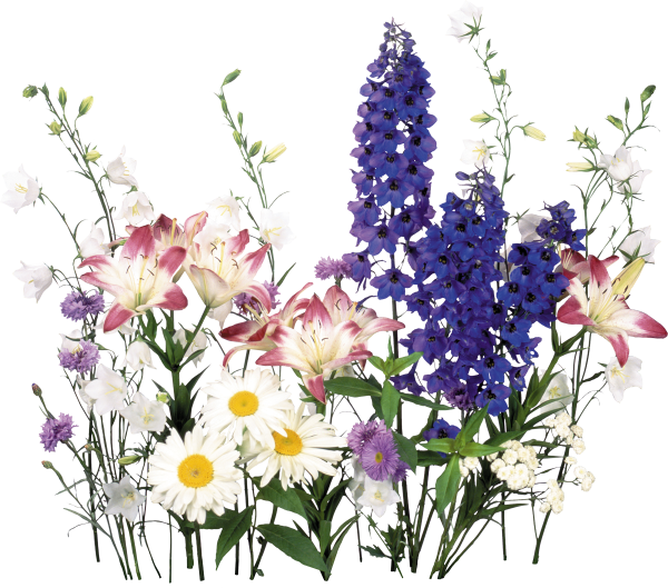 Полевые букеты с дельфиниумом
