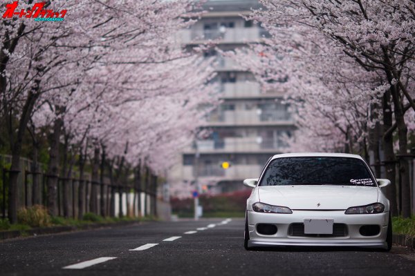 Silvia s15 Сакура