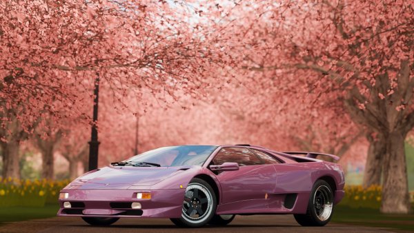 Супра Сакура