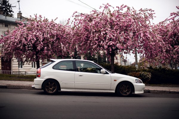 Honda Civic 6 Hatchback Сакура