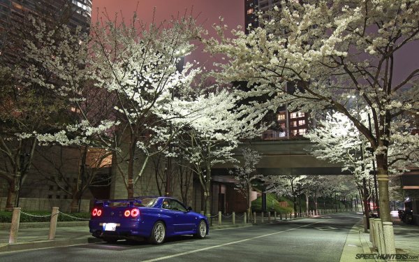 Nissan Skyline Tokyo