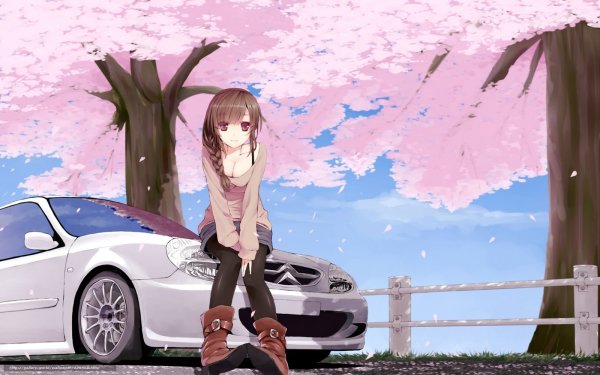 Машина на фоне Сакуры