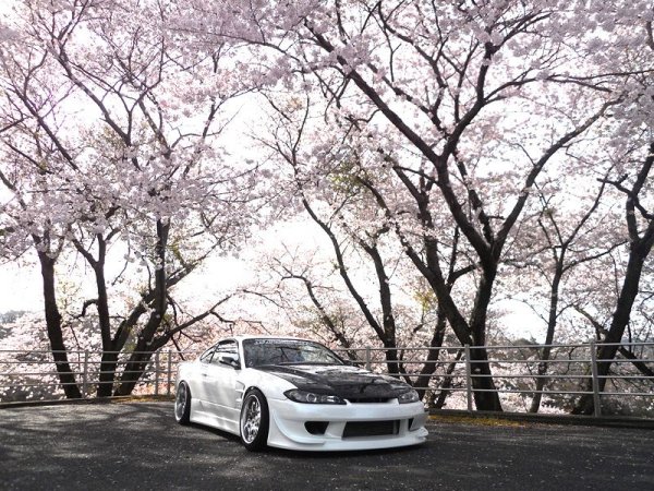 Nissan Silvia s15 Сакура