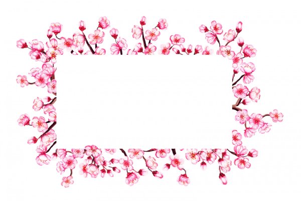 Рамка для текста Сакура