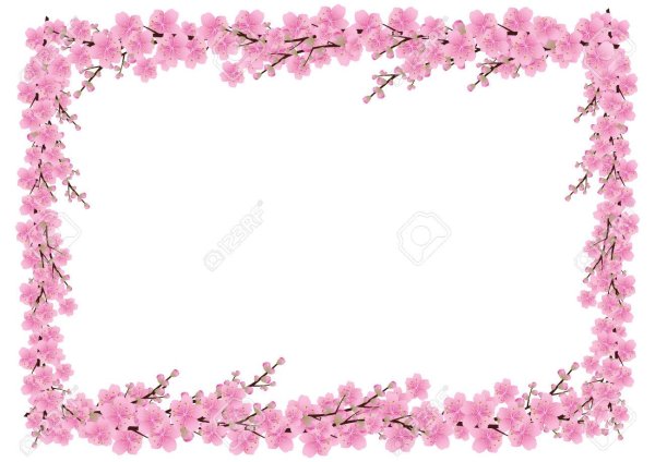 Рамка из веток Сакуры