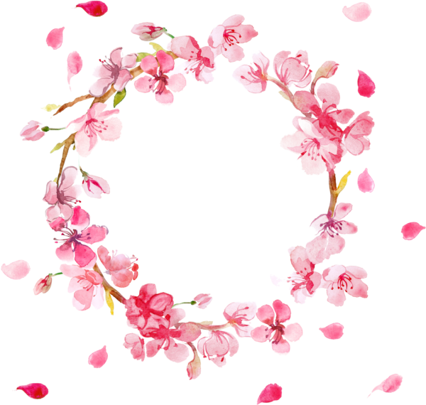 Рамка из цветов вишни