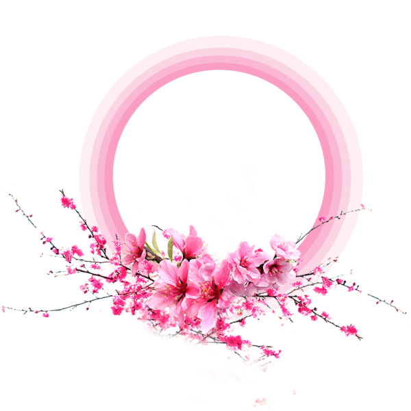 Круглые розовые цветы