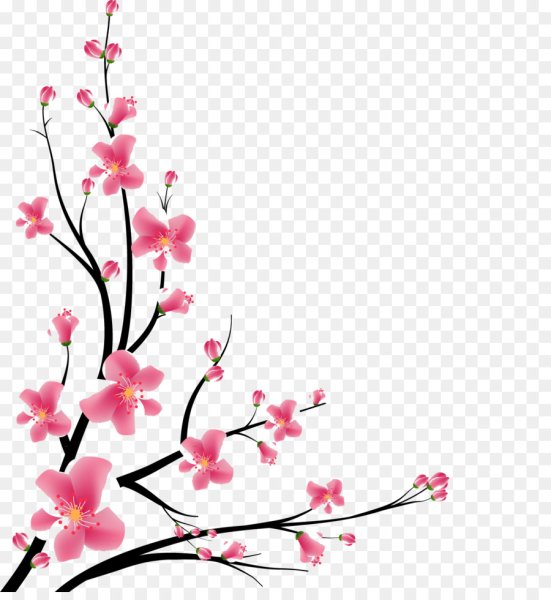 Ветка Сакуры рамка