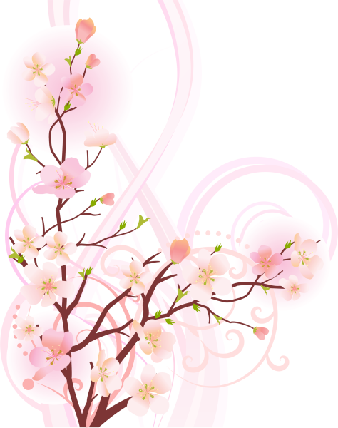 Ветка с цветами Сакуры