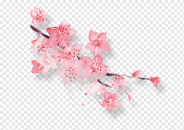 Круг из Сакуры