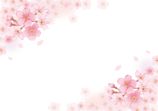 Рамка из цветов Сакуры