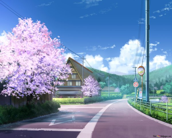 Черри блоссом аниме