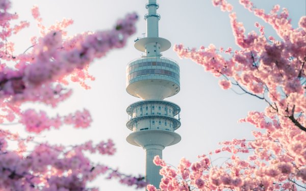 Обои Япония