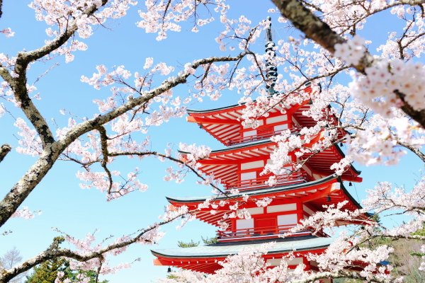 Фудзияма пагода Сакура