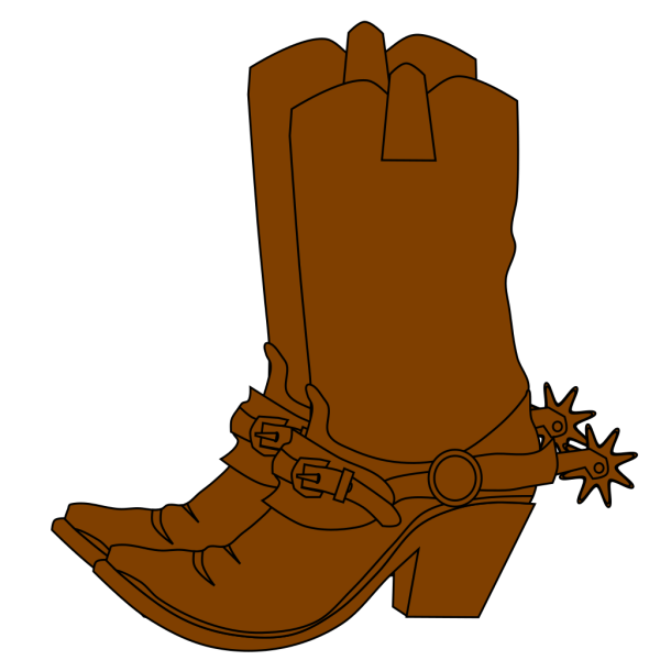 Ковбойские сапоги на прозрачке