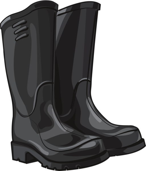 Сапоги на белом фоне