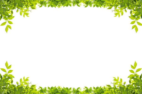Рамка зелень