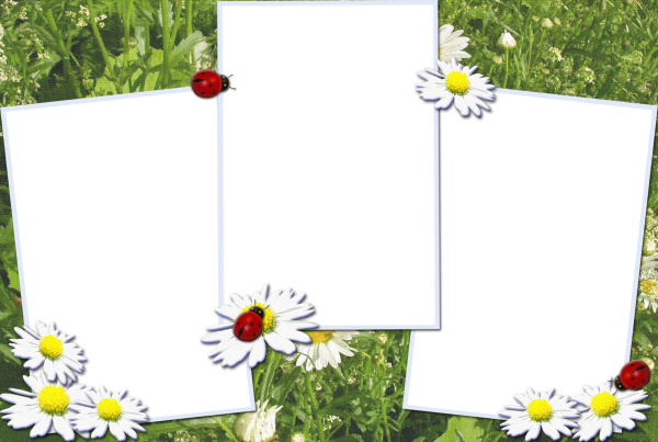 Летние рамки для фотошопа