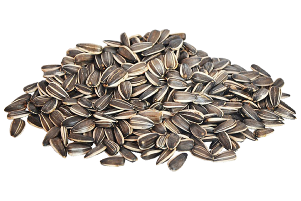 Семечки на прозрачном фоне