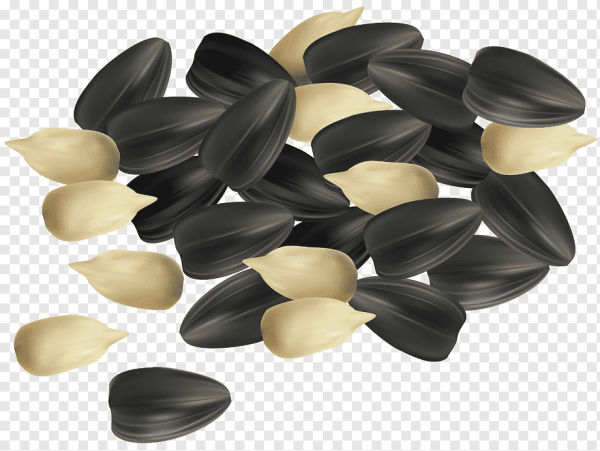 Семечки без фона