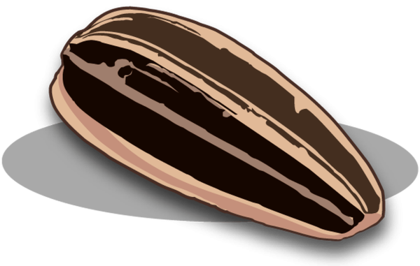 Семечка на прозрачном фоне