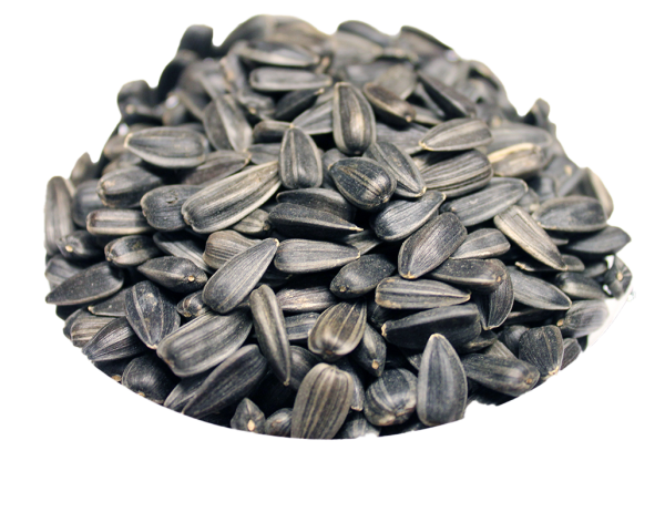 Семечки подсолнечника неочищенные