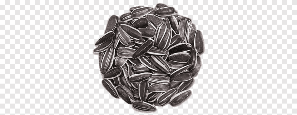 Семечки на прозрачном фоне