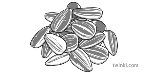 Семена для раскрашивания