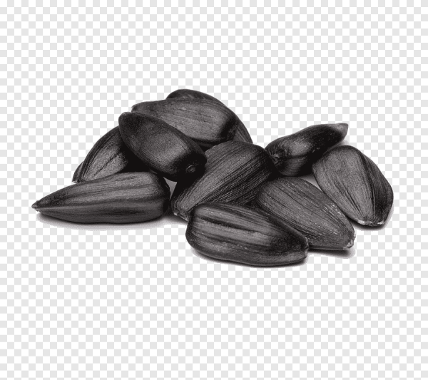 Семечка подсолнуха