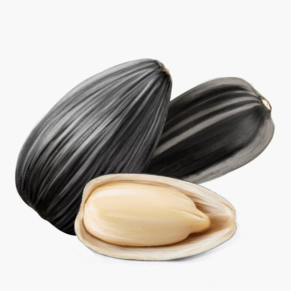 Семечки подсолнуха