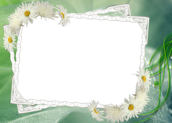 Рамочка с ромашками