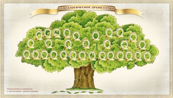 Фон для генеалогического древа