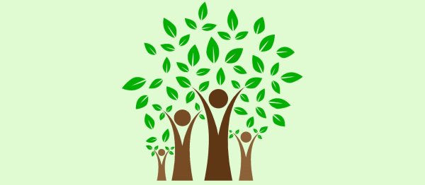 Родословное дерево Шежере