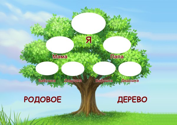 Макет семейного дерева