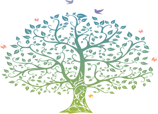 Генеалогическое дерево рисунок