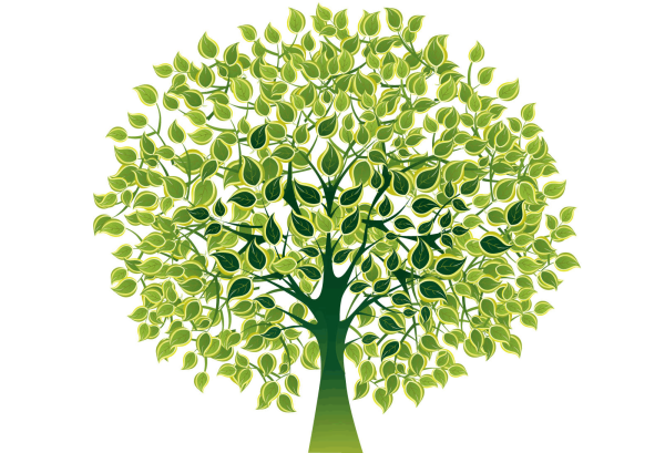 Дерево для генеалогического древа