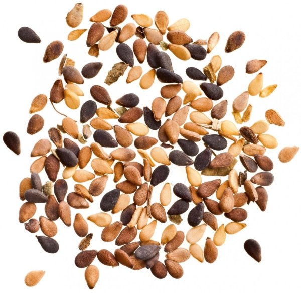 Семена кунжута вид сверху