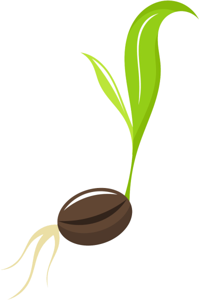 Семечка без фона