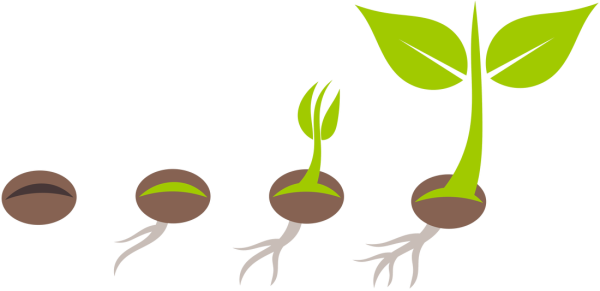 Прорастание семян вектор