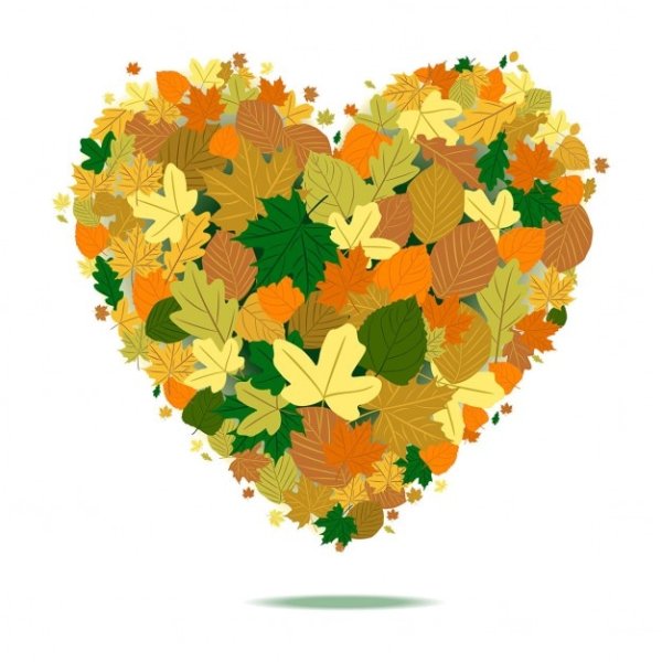 Сердечко из осенних листочков